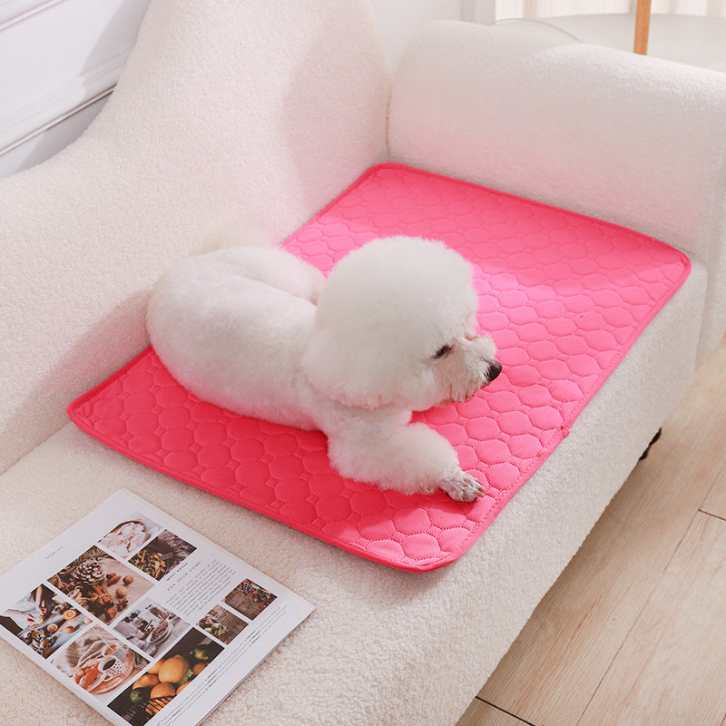 Washable Dog Pee Pad Blanket