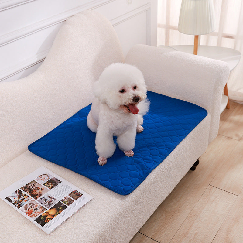 Washable Dog Pee Pad Blanket