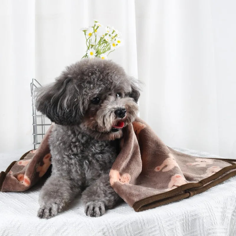Soft Fluffy High Quality Pet Blanket