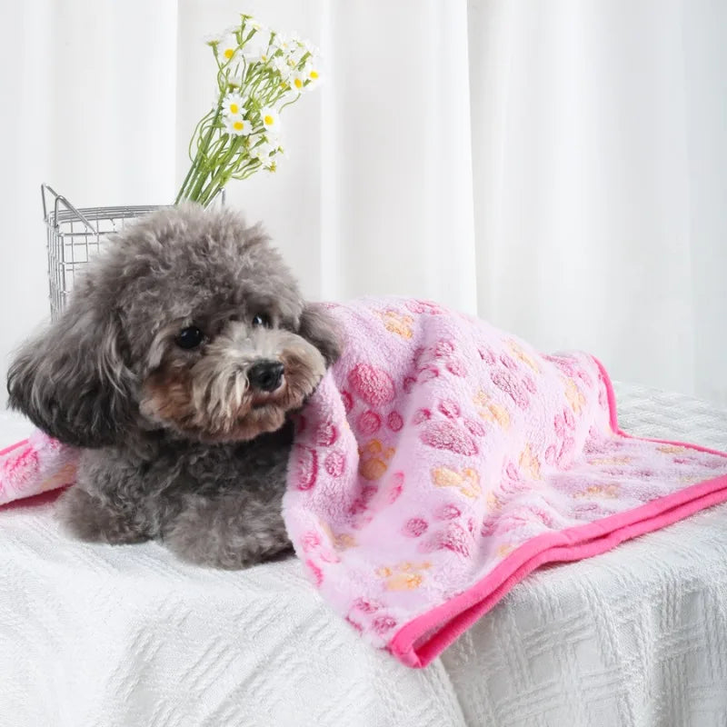 Soft Fluffy High Quality Pet Blanket