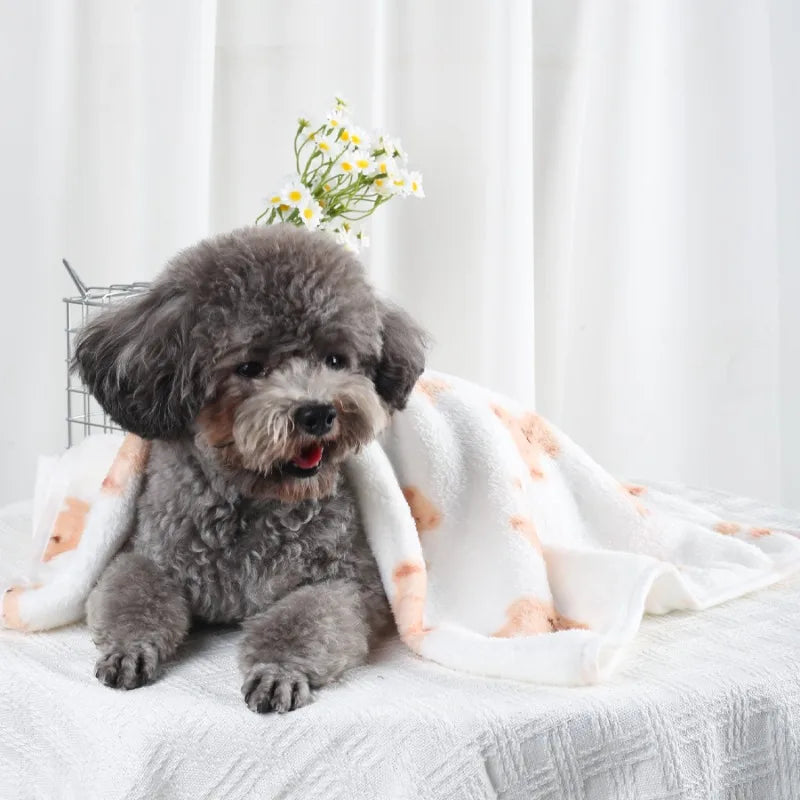 Soft Fluffy High Quality Pet Blanket