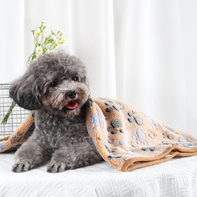 Soft Fluffy High Quality Pet Blanket