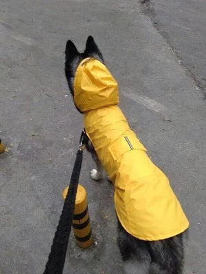Waterproof Dog Hoodie Raincoat