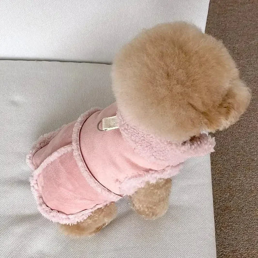 Dog Cute Vest / Jacket