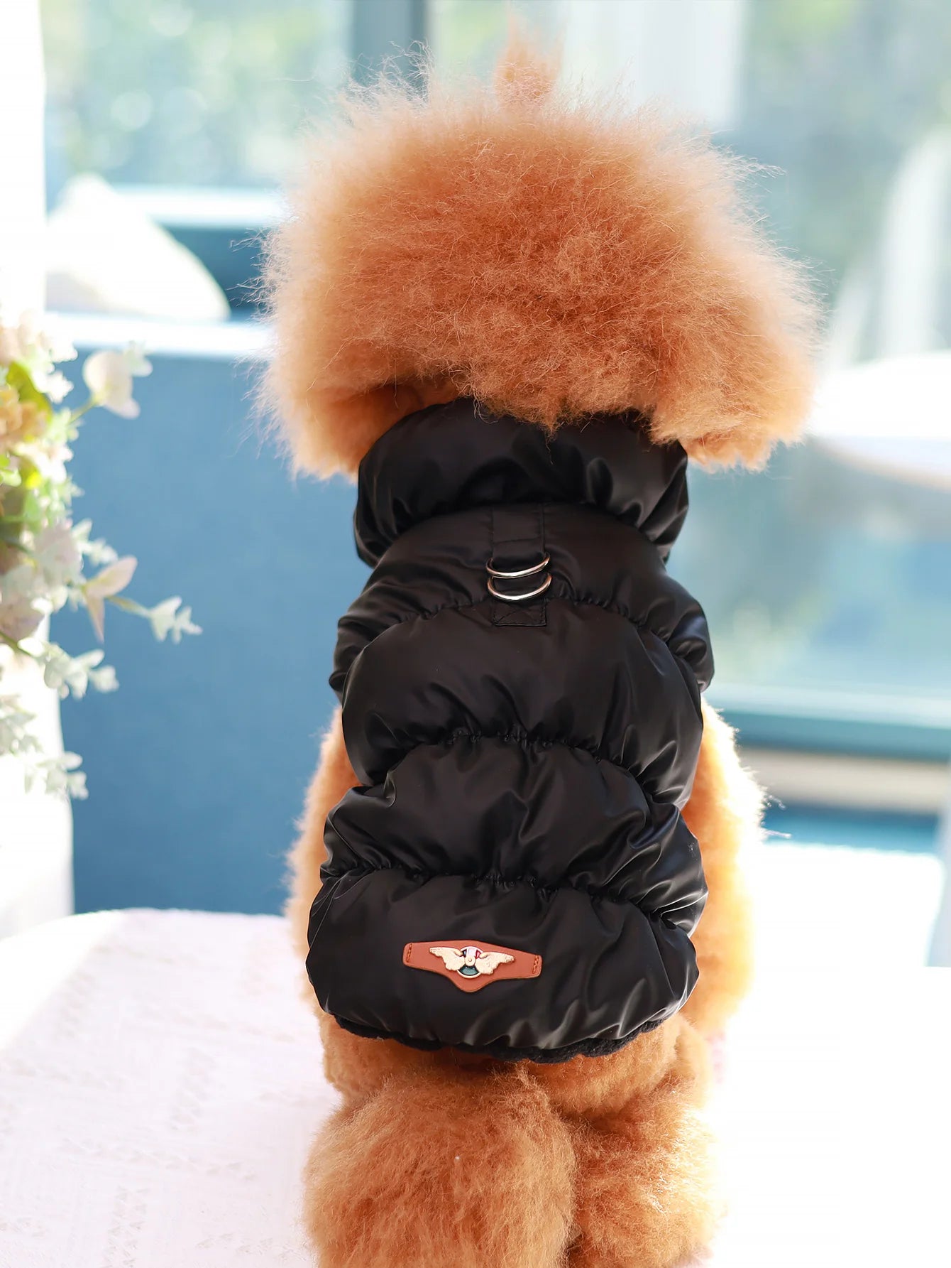 Autumn/Winter Dog Jacket