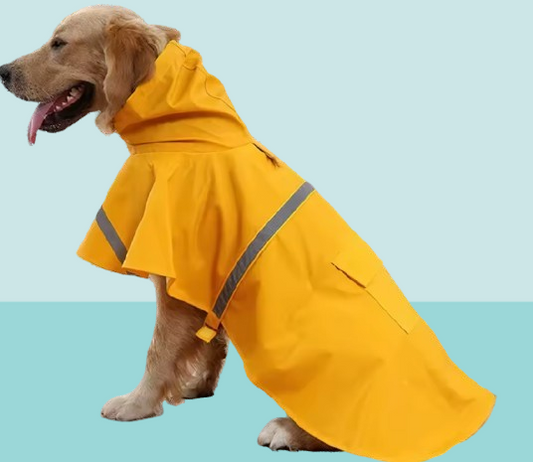 Yellow Waterproof Raincoat