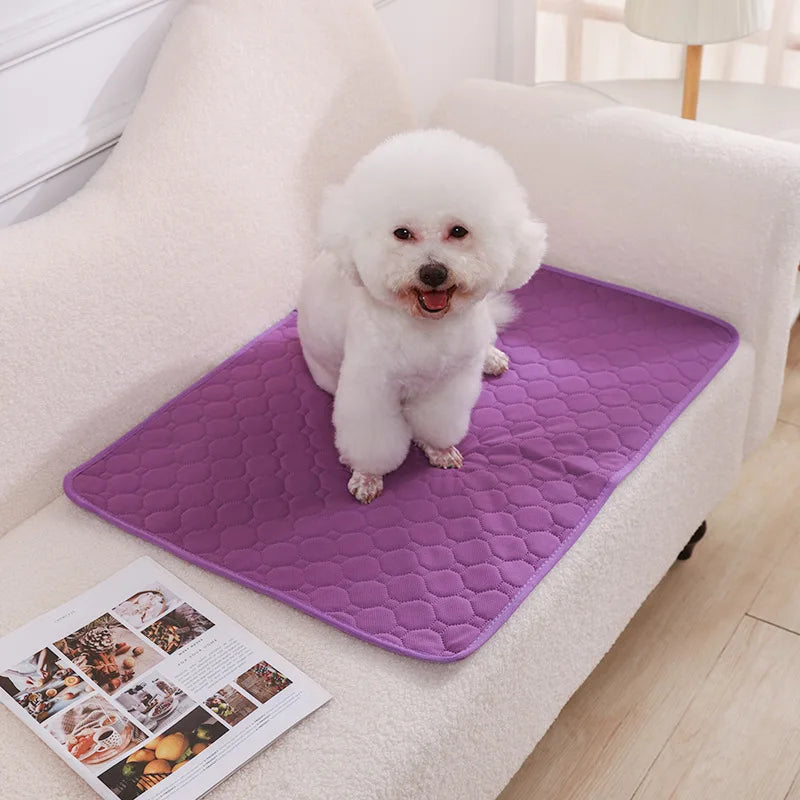 Washable Dog Pee Pad Blanket