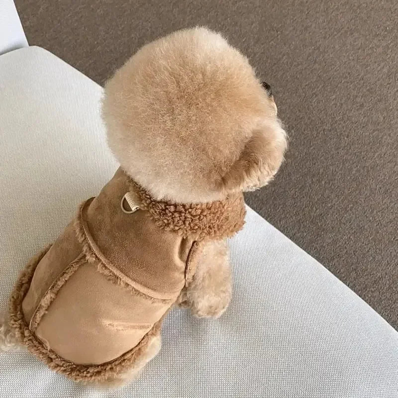 Dog Cute Vest / Jacket