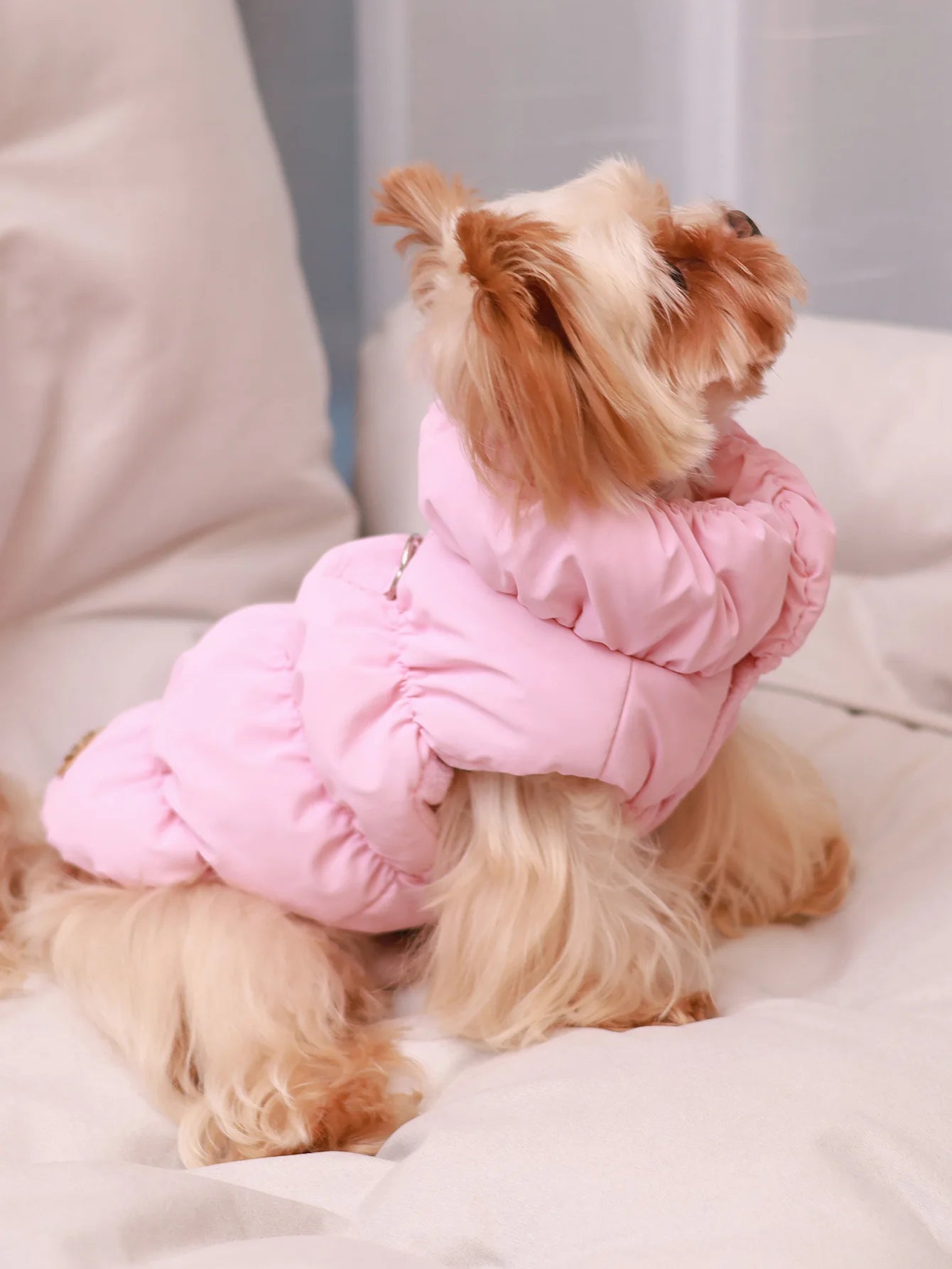 Autumn/Winter Dog Jacket